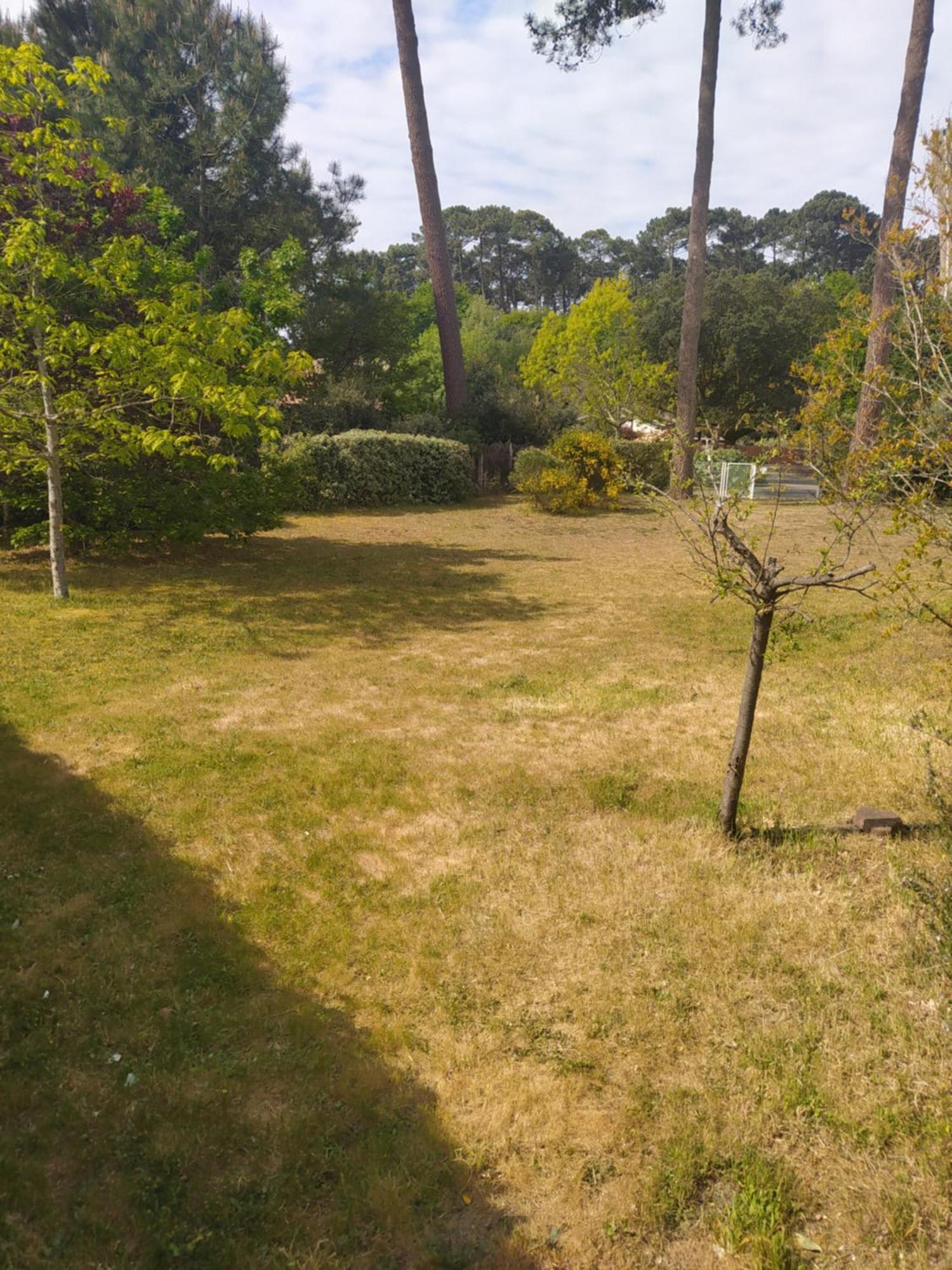 Petite Maison A Biscarrosse - Plage Extérieur photo